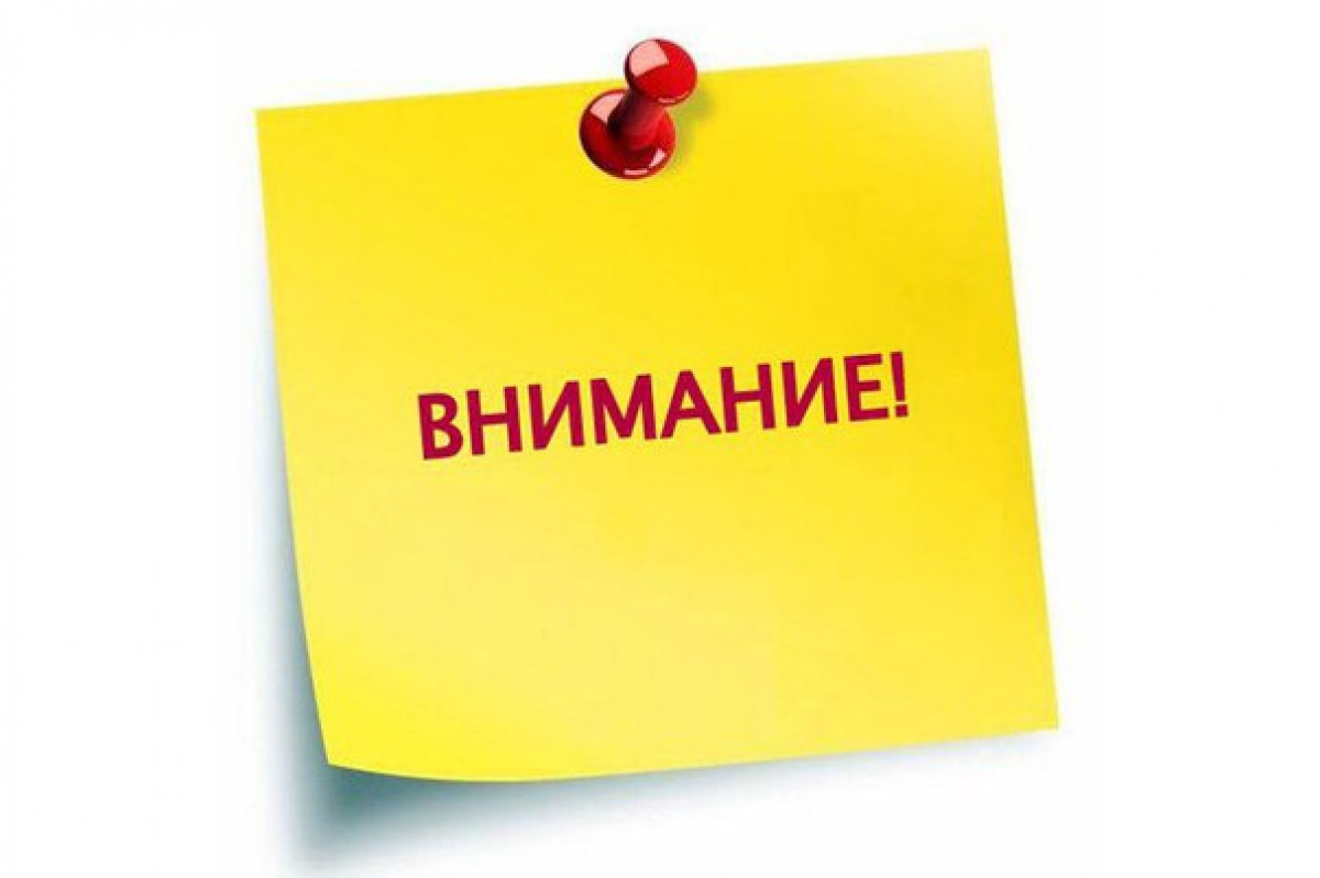 ИНФОРМАЦИЯ ОТ СЛПК о планах лесохозяйственной деятельности на 2026 год и др..